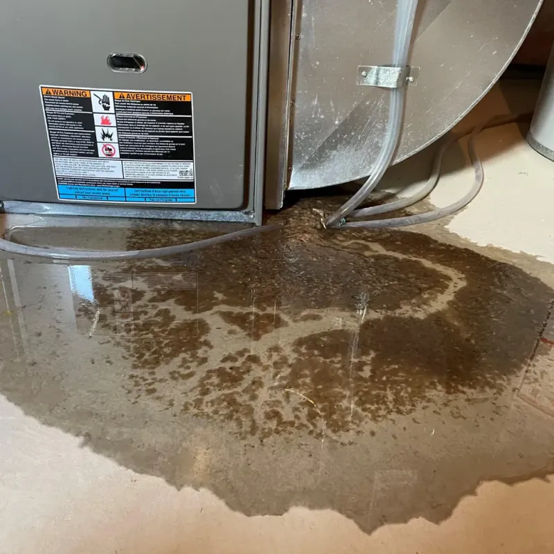 Appliance Leak Cleanup in Baxter Springs, KS